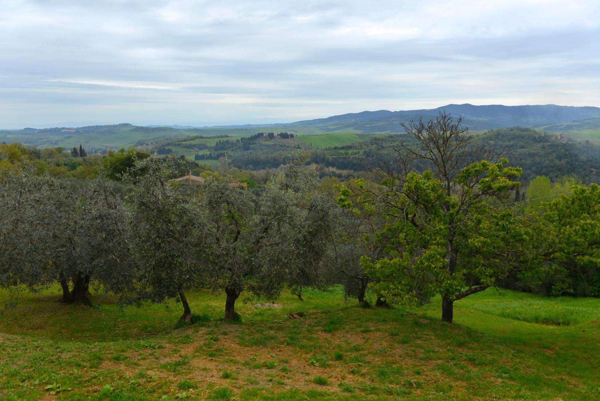 Casa Zeno Apartman Volterra Kültér fotó