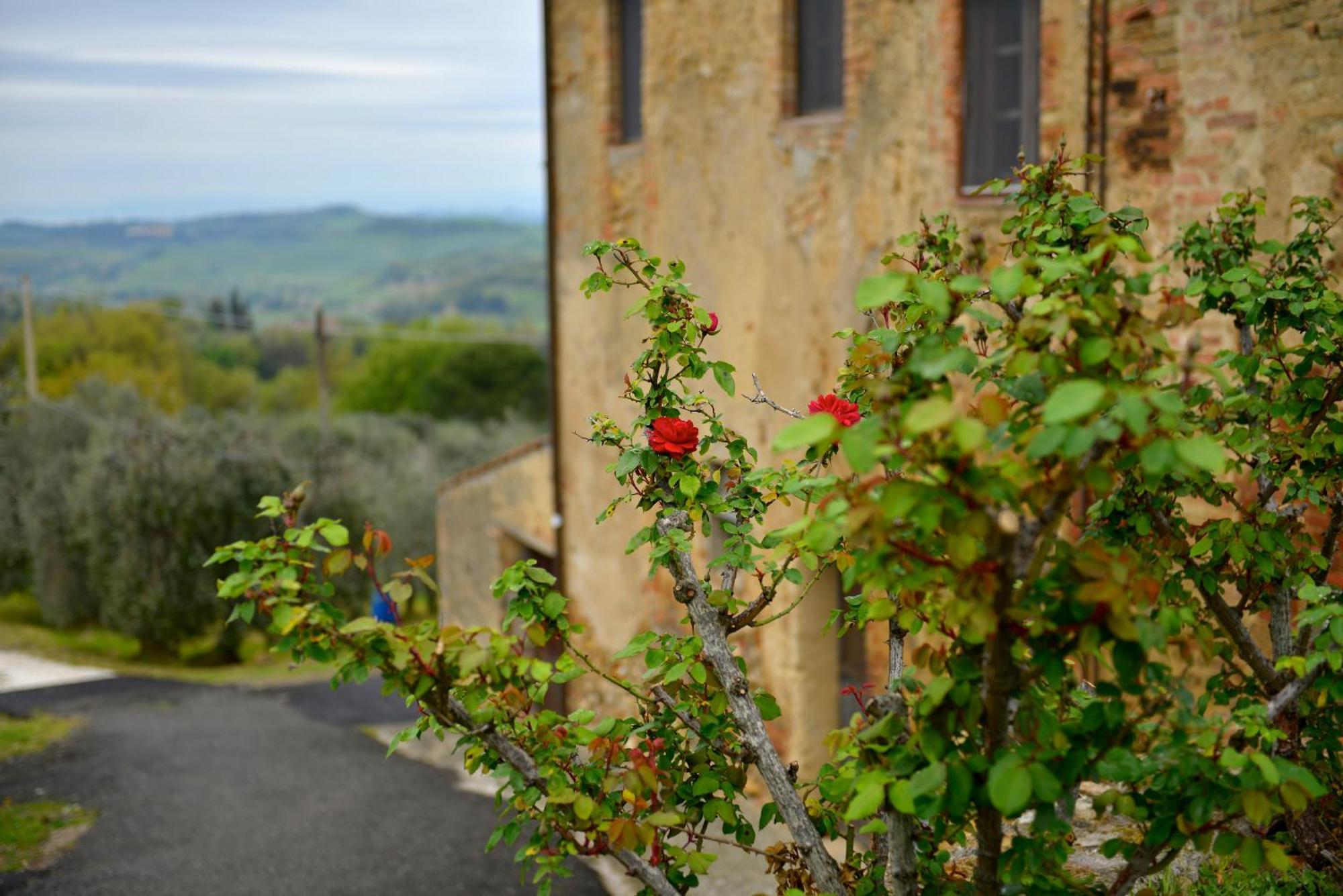 Casa Zeno Apartman Volterra Kültér fotó